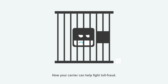 carrier level toll fraud security